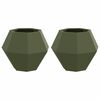vidaXL Plantenbak 2 st Olijf Groen 50 x 50 x 40 cm Staal