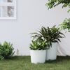 Miniatuurafbeelding van het product 2 van 7
