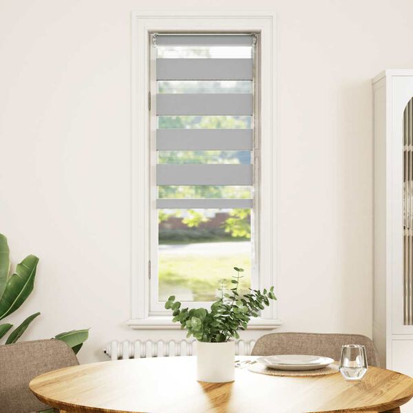 vidaXL Zebra rolgordijn 50x100 cm stofbreedte 45,9cm lichtgrijs