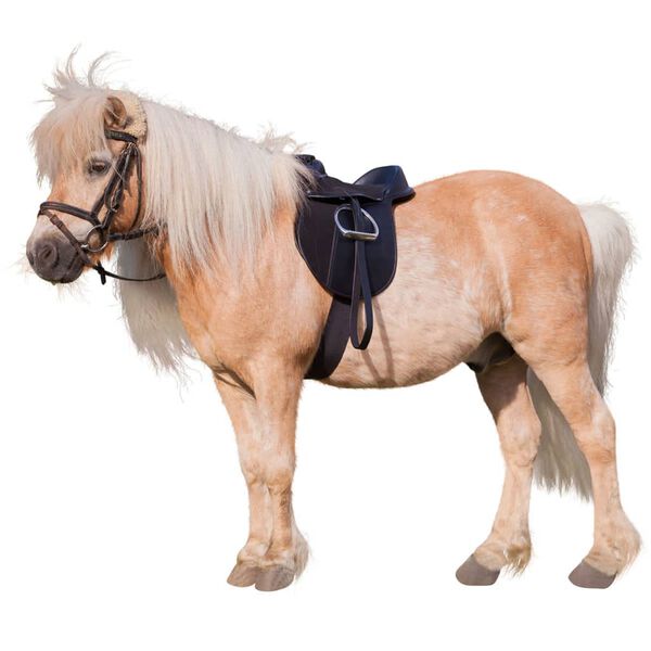 Kerbl Zadel set Economy pony 15" 325415