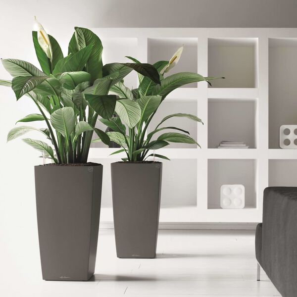 LECHUZA Plantenbak Cubico 30 ALL-IN-ONE houtskool 18184