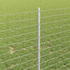 Miniatuurafbeelding van het product 4 van 8