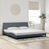 vidaXL Bedframe zonder matras "Hanko" 200x200 cm fluweel donkergrijs