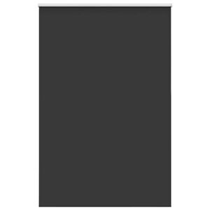 vidaXL Rolgordijn verduisterend 165x210 cm stofbreedte 161,6 cm zwart