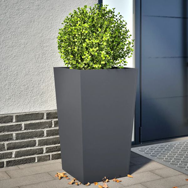 Productafbeelding 2 van 12