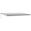 vidaXL Luifel handmatig uittrekbaar 600x300 cm antracietkleur en wit