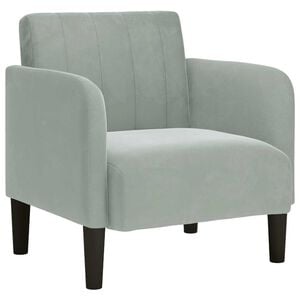 vidaXL Fauteuil met armleuningen 54 cm fluweel lichtgrijs