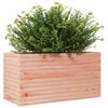 vidaXL Plantenbak 90x40x45,5 cm massief douglashout