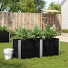 vidaXL Plantenbak 150x50 cm massief grenenhout zwart