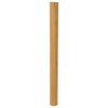 vidaXL Kamerscherm breedte 800 cm hoogte 165 cm bamboe naturel