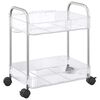 vidaXL Opbergtrolley 2-laags 37x28x43,5 cm acryl transparant