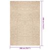 vidaXL Vloerkleed ZIZUR beige binnen en buiten 200x290 cm jute look