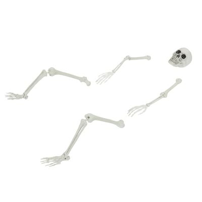 Halloween-skelet met grondpinnen wit 45,5 x 13 cm