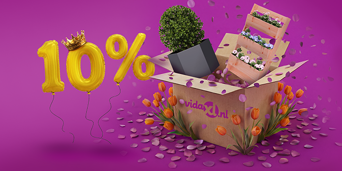 Geopende vidaXL-doos met een metalen en een houten plantenbak die eruit springen, omringd door tulpen en paarse bloemblaadjes. Gele ballonnen tonen een korting van 10% met een koningskroon erbovenop. Klik om de producten in de aanbieding te bekijken.