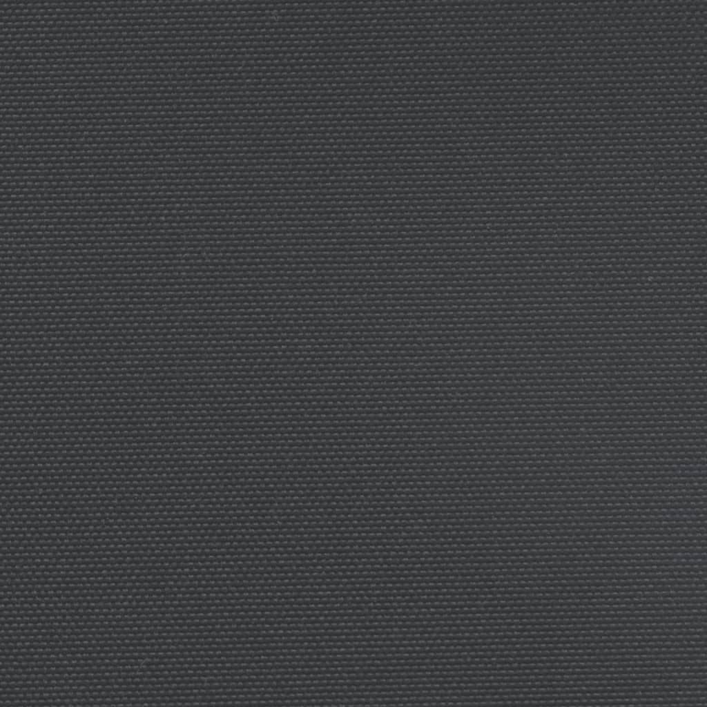 vidaXL Windscherm uittrekbaar 120x1200 cm zwart
