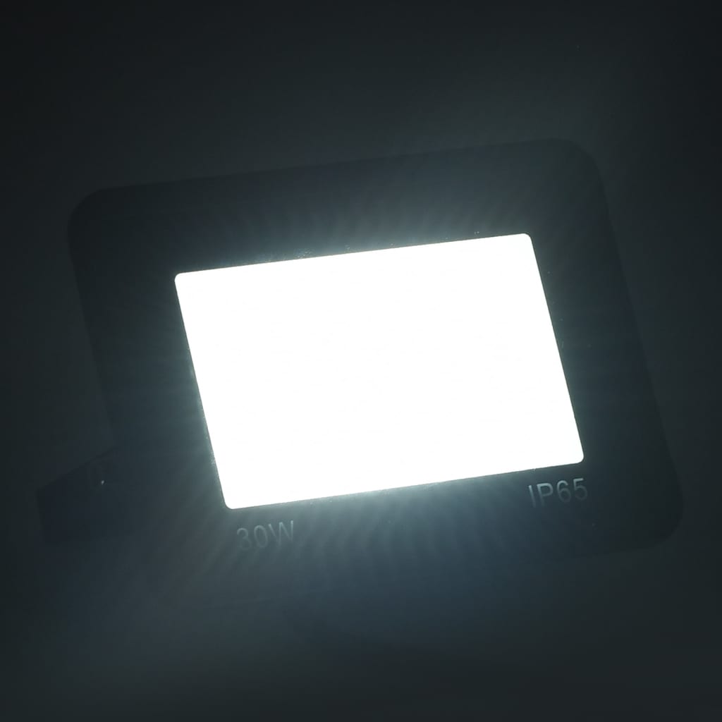 vidaXL Spotlights 2 st LED 30 W koudwit