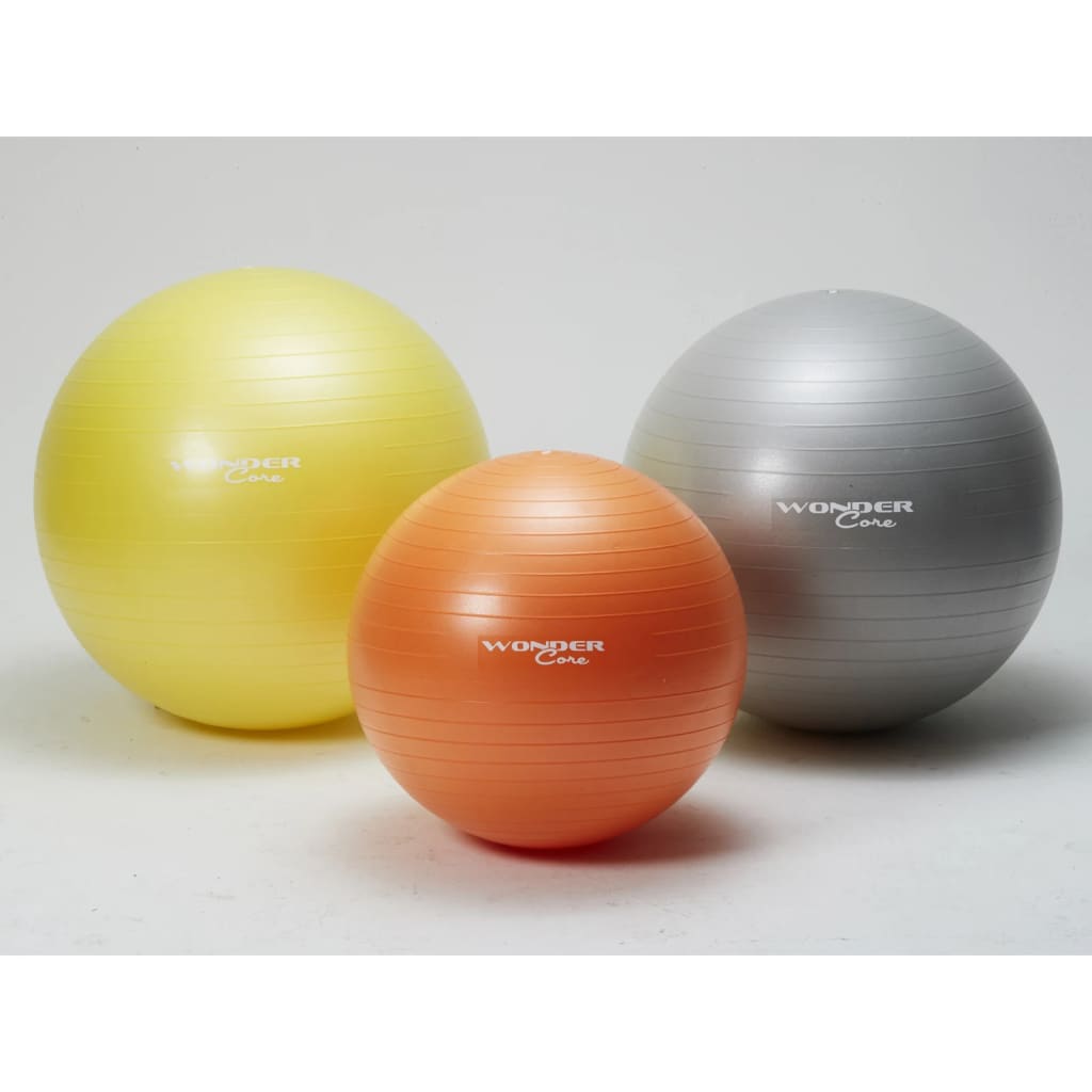 Wonder Core Fitnessbal anti-barst 75 cm grijs