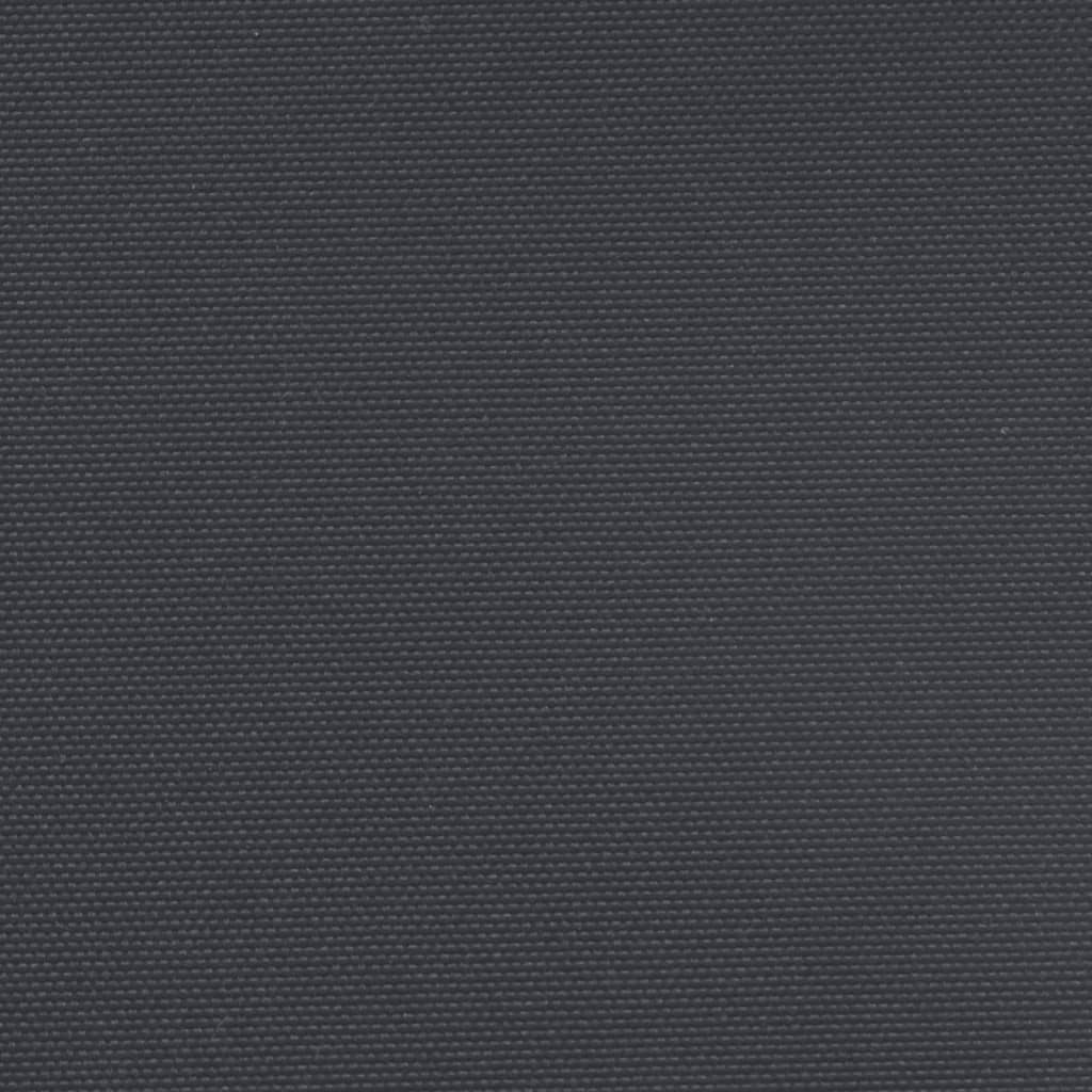 vidaXL Windscherm uittrekbaar 160x600 cm zwart