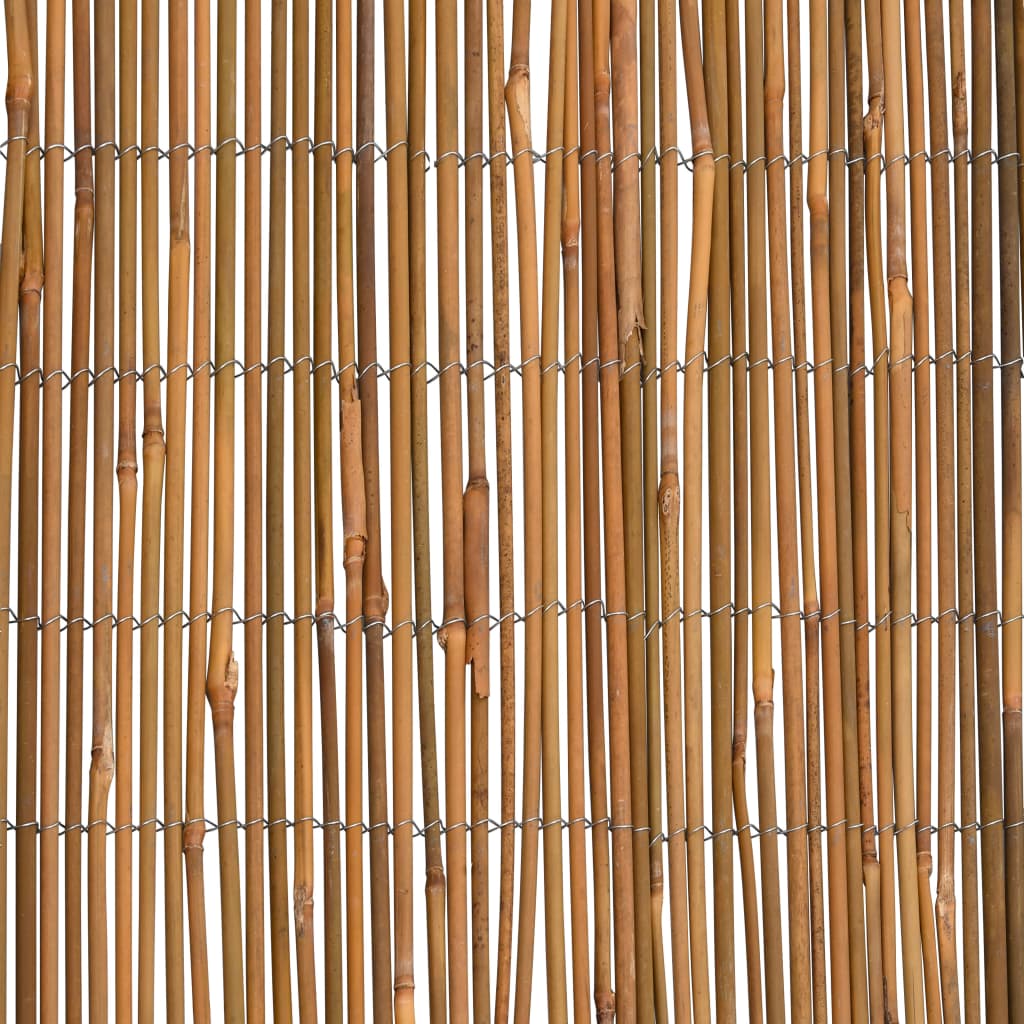 vidaXL Scherm 500x100 cm bamboe