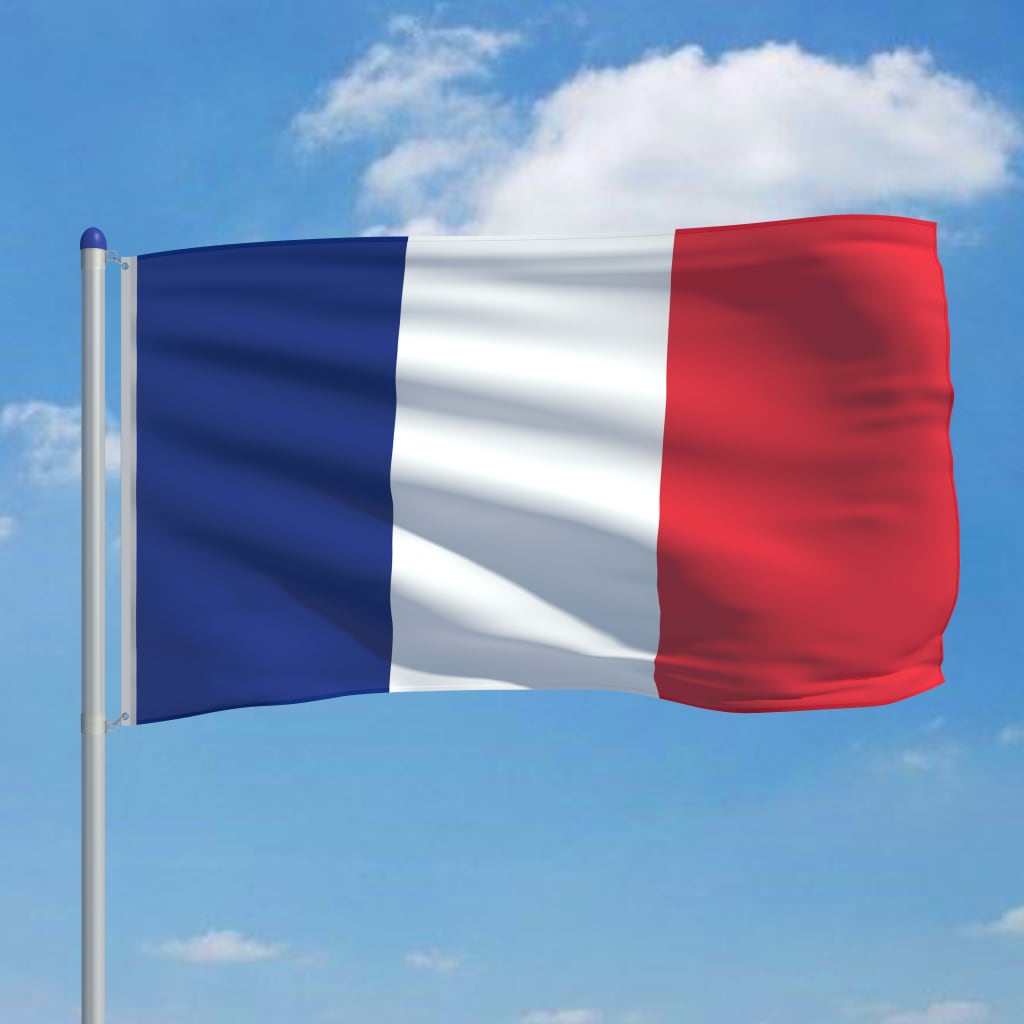 vidaXL Vlag met vlaggenmast Frankrijk 6 m aluminium