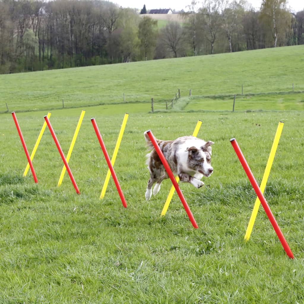 Kerbl Honden behendigheid trainingsset rood 80758