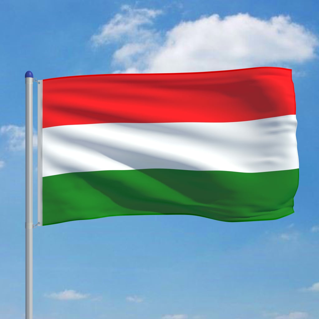 vidaXL Vlag met vlaggenmast Hongarije 6 m aluminium