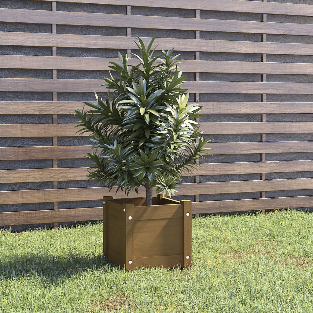 vidaXL Plantenbak 31x31x31 cm massief grenenhout honingbruin