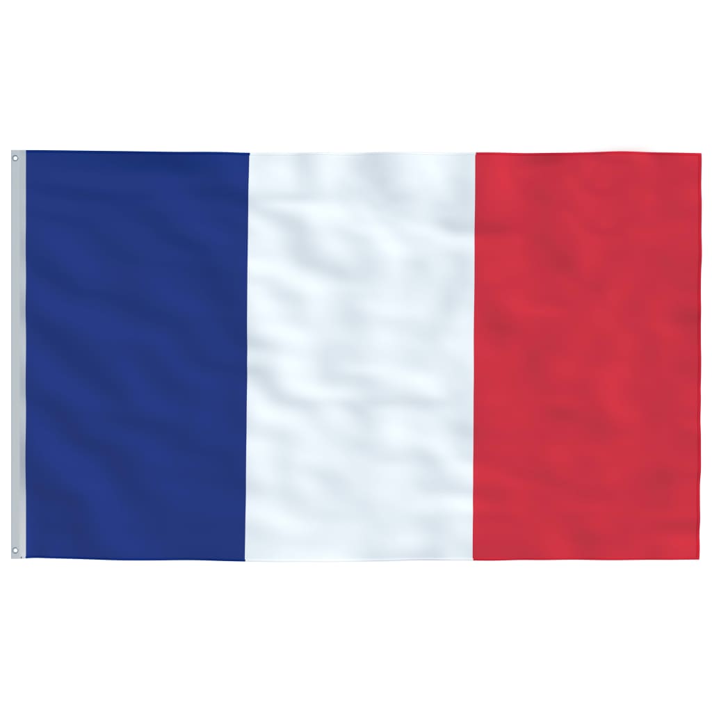 vidaXL Vlag Frankrijk 90x150 cm