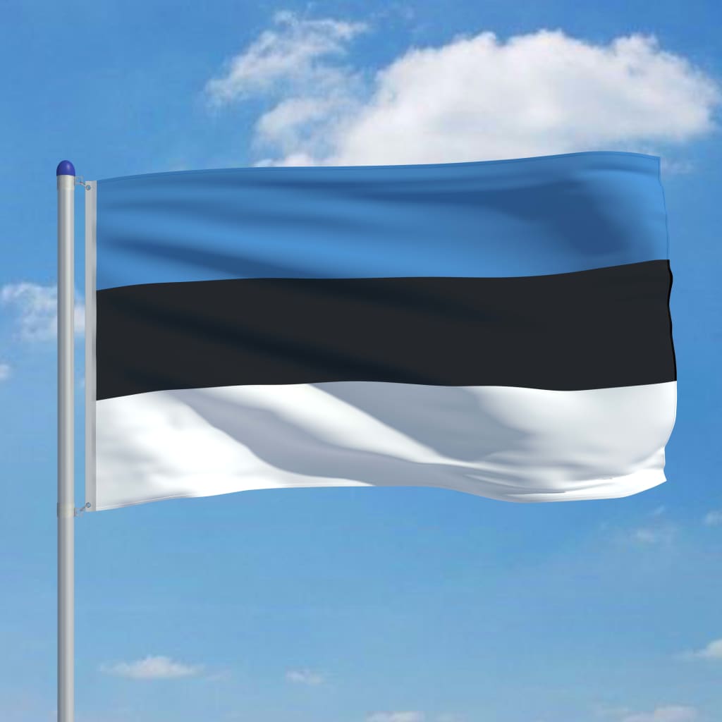 vidaXL Vlag met vlaggenmast Estland 6 m aluminium