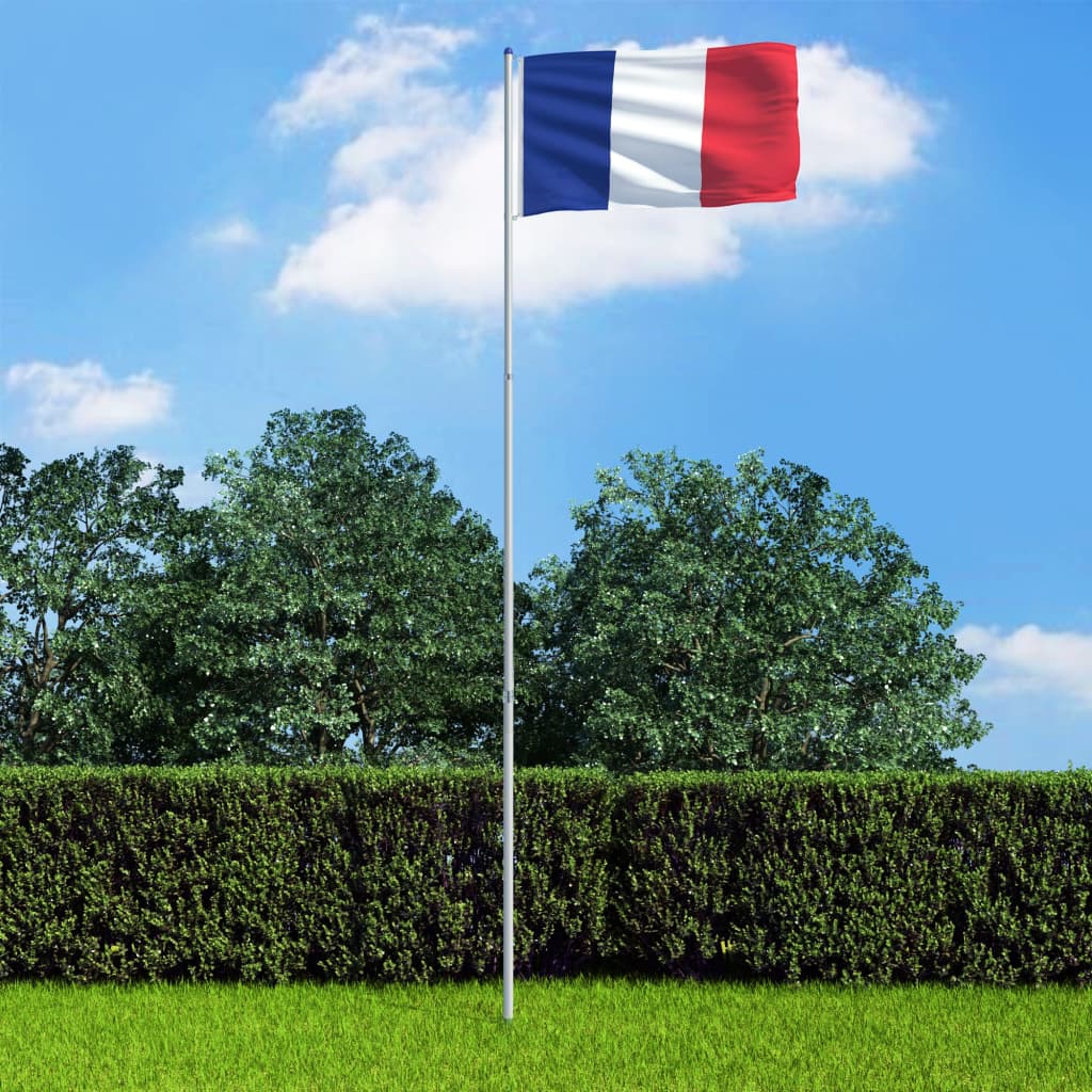 vidaXL Vlag met vlaggenmast Frankrijk 6 m aluminium