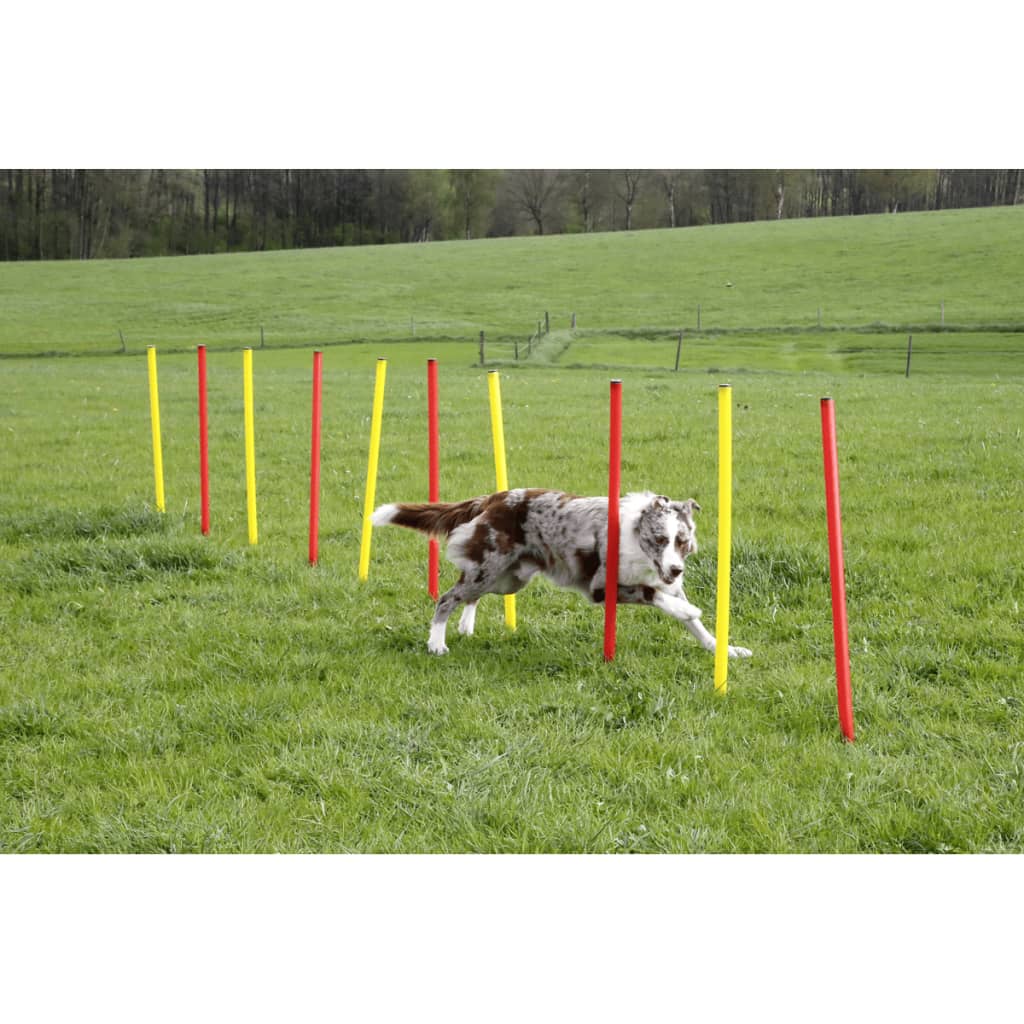 Kerbl Honden behendigheid trainingsset rood 80758