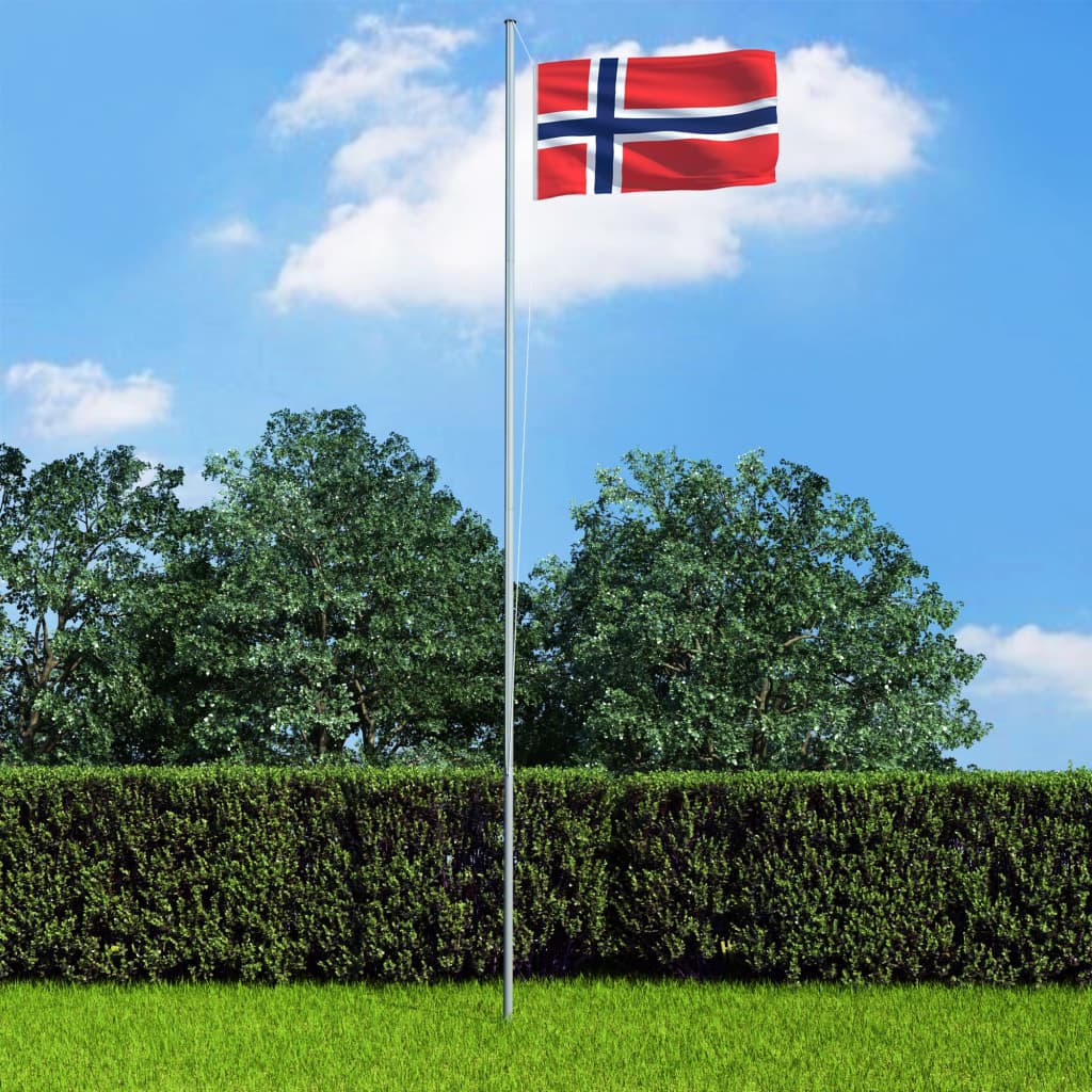 vidaXL Vlag met vlaggenmast Noorwegen 4 m aluminium