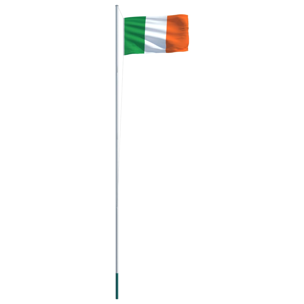 vidaXL Vlag met vlaggenmast Ierland 6,2 m aluminium