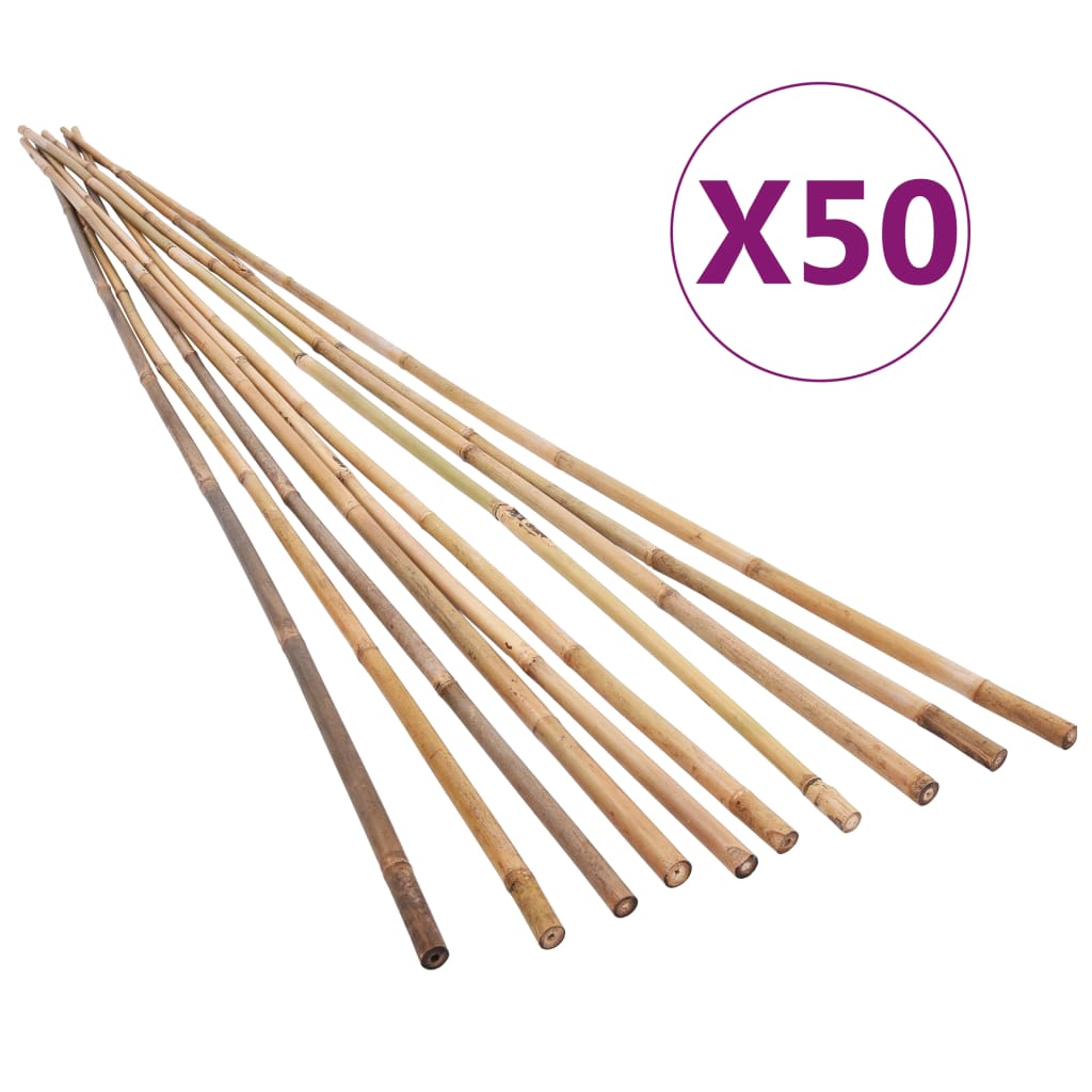 vidaXL Tuinstokken 50 st 170 cm bamboe