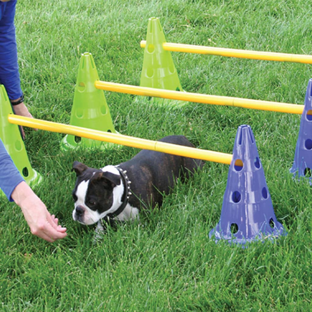 FitPAWS Honden behendigheidsset Canine Gym