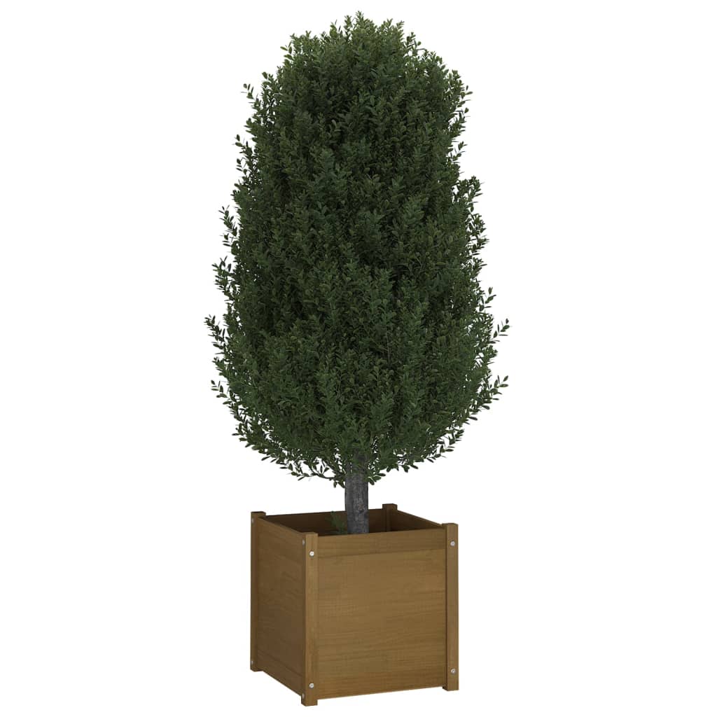 vidaXL Plantenbak 50x50x50 cm massief grenenhout honingbruin
