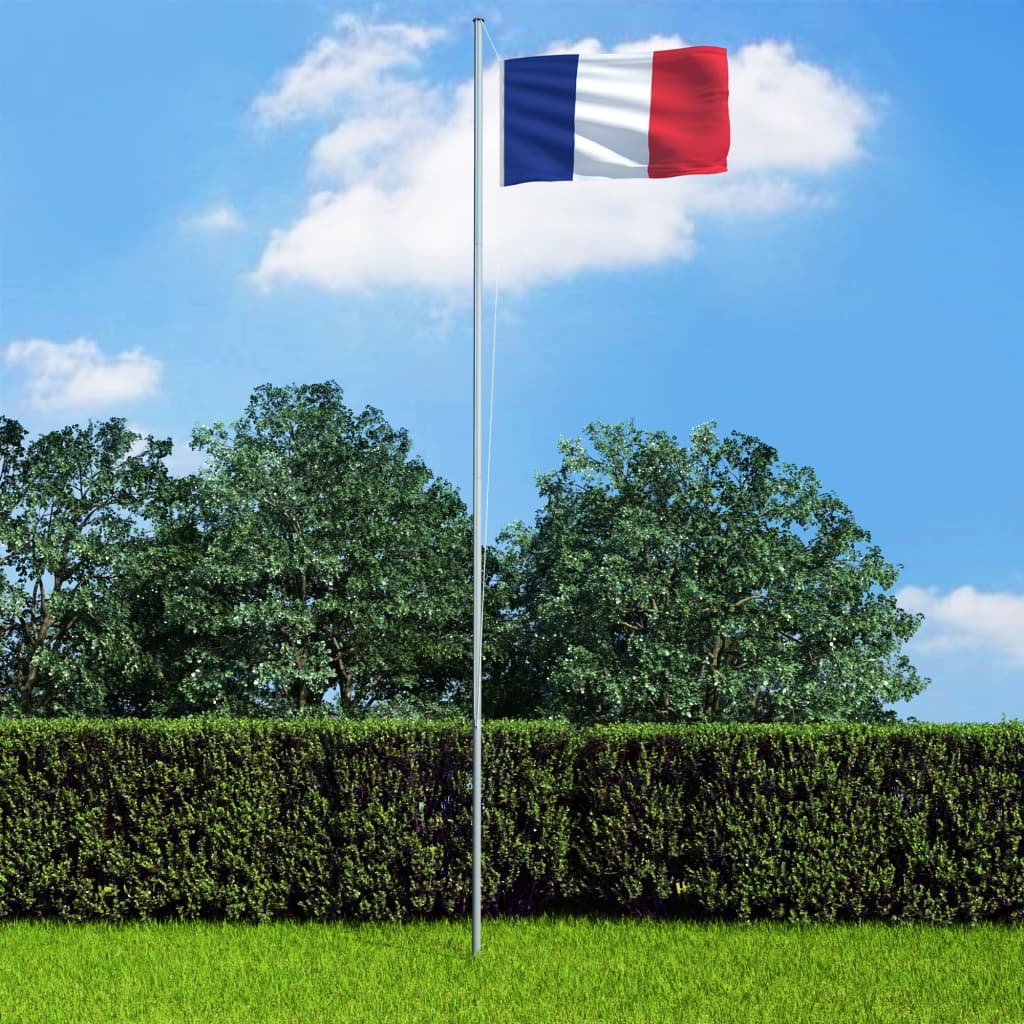 vidaXL Vlag met vlaggenmast Frankrijk 6,2 m aluminium