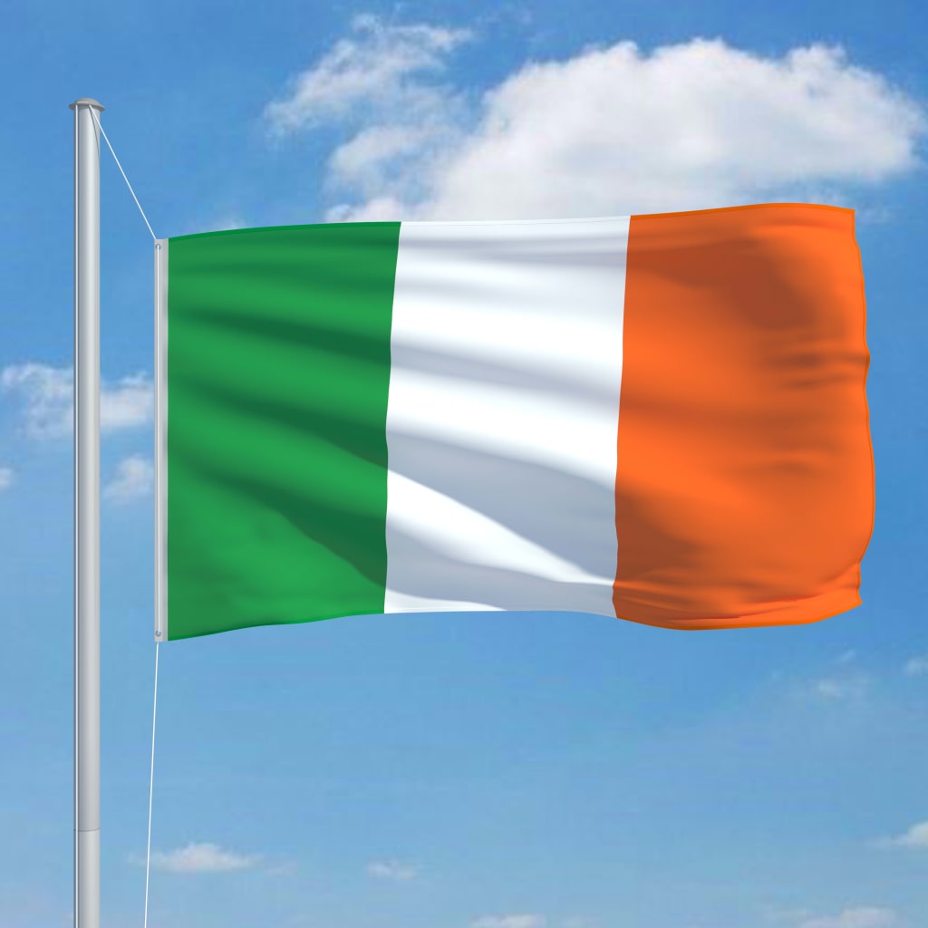 vidaXL Vlag met vlaggenmast Ierland 6,2 m aluminium