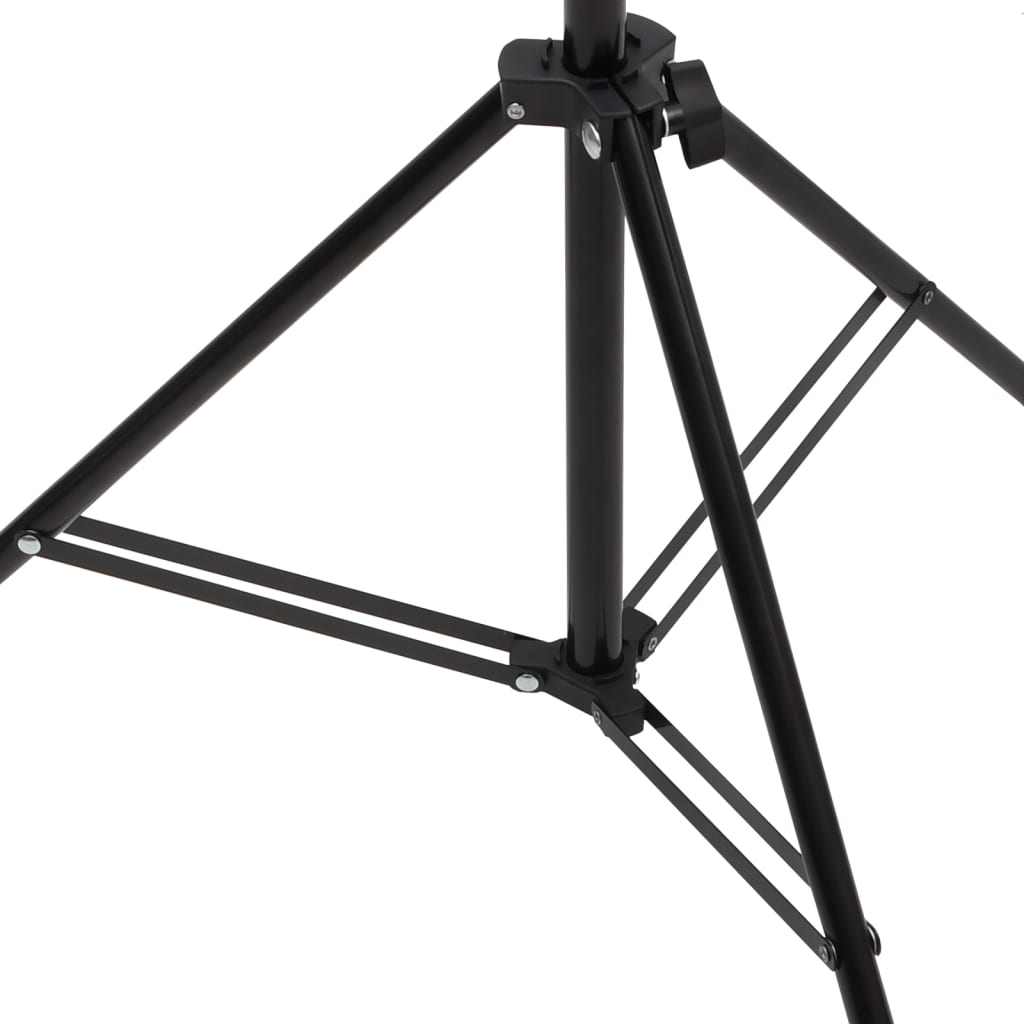vidaXL Achtergrondstandaard T-vormig 151x60x(70-200) cm zwart