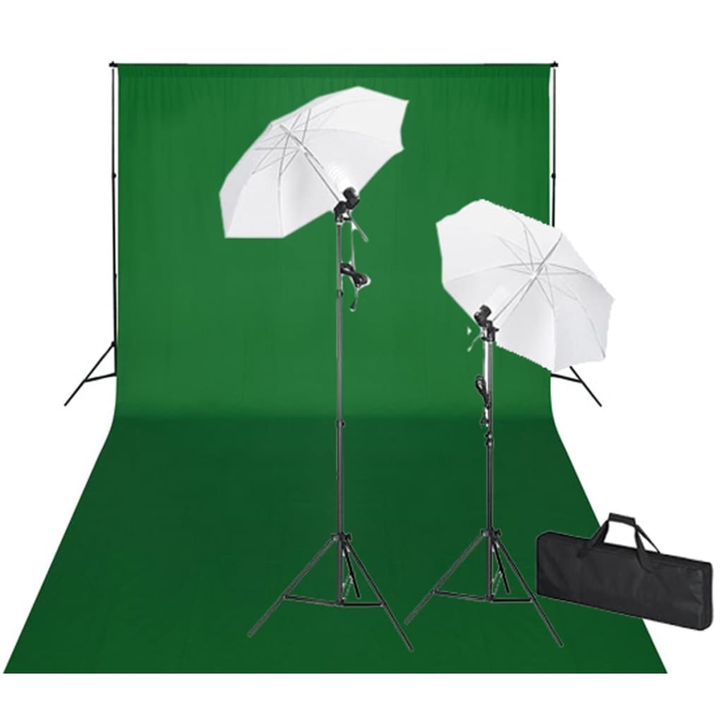 vidaXL Studioset met groene achtergrond en lampen 600x300 cm