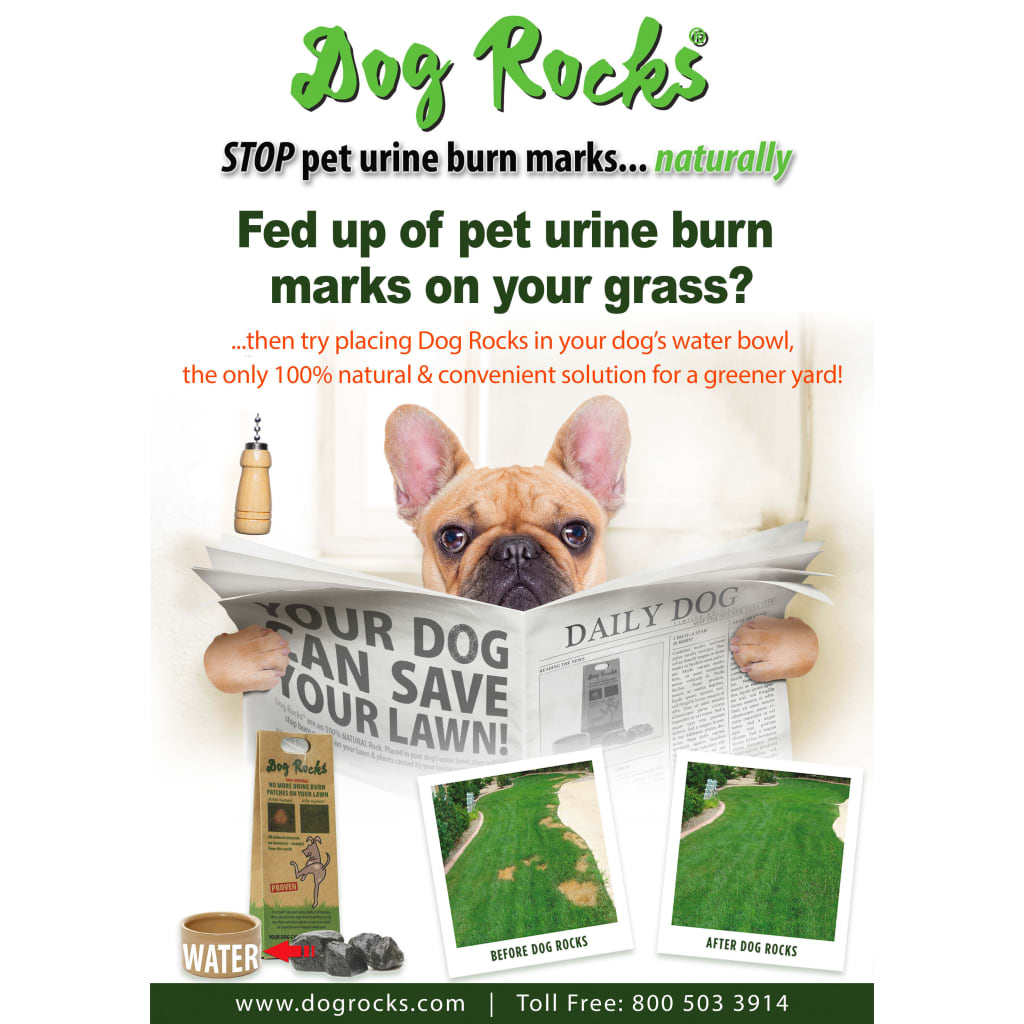 Dog Rocks Anti-urinevlekstenen voor honden